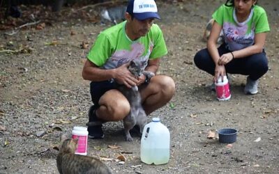 Proyecto Salvando Huellitas